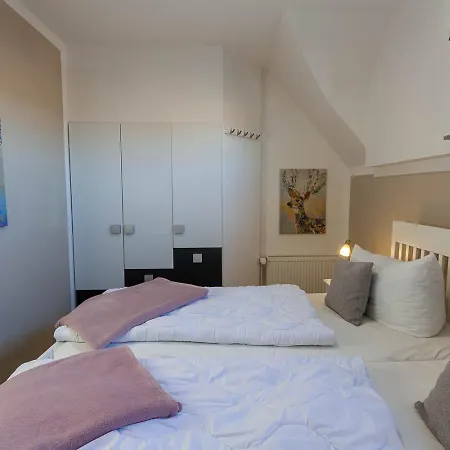 Abendsonne In Der Harzer Flair